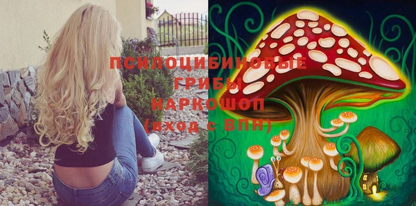 метамфетамин Гусь-Хрустальный