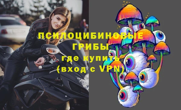 гидропоника Гусев