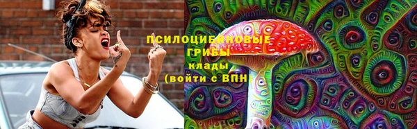 гидропоника Гусев