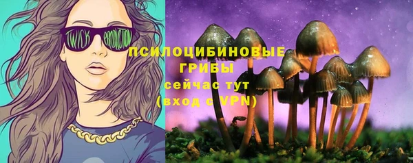 метамфетамин Гусь-Хрустальный