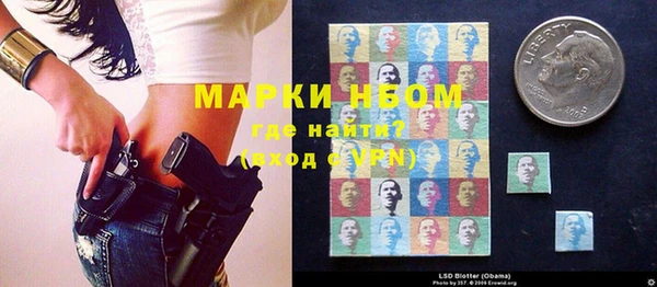 гидропоника Гусев