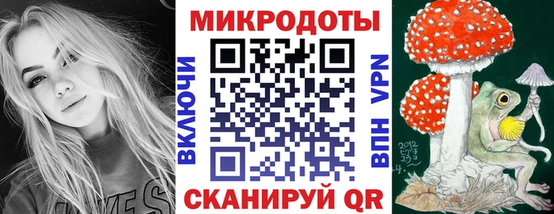 Псилоцибиновые грибы Psilocybine cubensis  Похвистнево 
